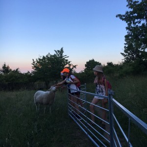 Kudlančí výprava na Stránskou