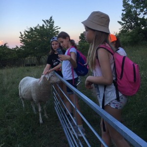 Kudlančí výprava na Stránskou