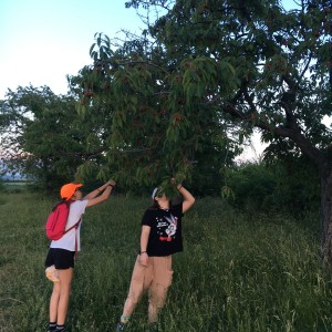 Kudlančí výprava na Stránskou