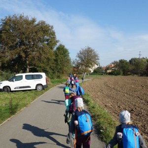 Výprava Lachtanů do Mariánského údolí