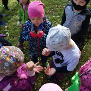 Výprava Lachtanů do Mariánského údolí