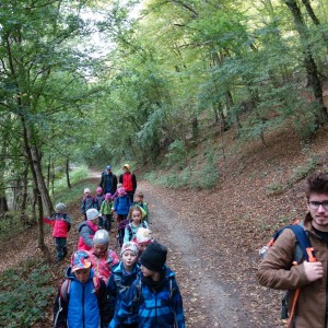 Výprava Lachtanů do Mariánského údolí