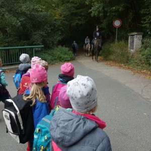 Výprava Lachtanů do Mariánského údolí