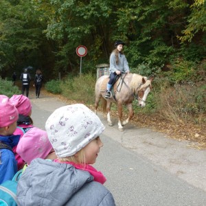 Výprava Lachtanů do Mariánského údolí