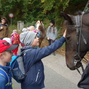 Výprava Lachtanů do Mariánského údolí