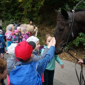 Výprava Lachtanů do Mariánského údolí