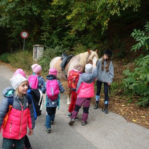 Výprava Lachtanů do Mariánského údolí