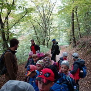 Výprava Lachtanů do Mariánského údolí