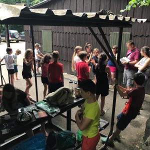 Liščí jaro a závěrečná schůzka - Zlatá horečka