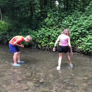 Liščí jaro a závěrečná schůzka - Zlatá horečka