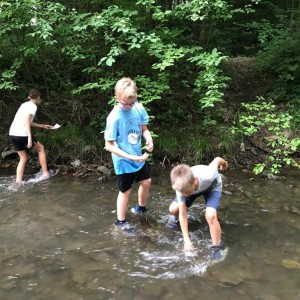 Liščí jaro a závěrečná schůzka - Zlatá horečka