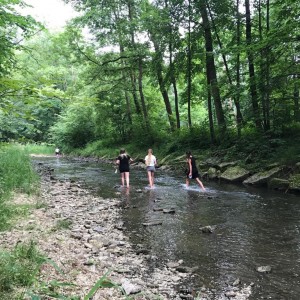 Liščí jaro a závěrečná schůzka - Zlatá horečka
