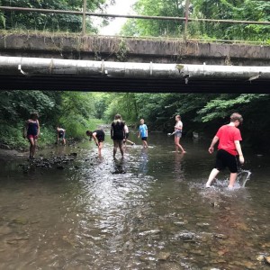 Liščí jaro a závěrečná schůzka - Zlatá horečka