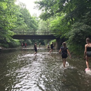 Liščí jaro a závěrečná schůzka - Zlatá horečka