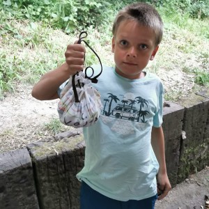 Liščí jaro a závěrečná schůzka - Zlatá horečka