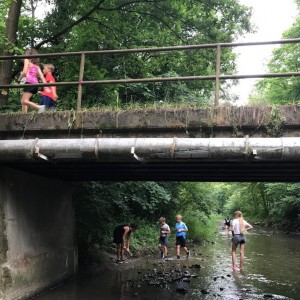 Liščí jaro a závěrečná schůzka - Zlatá horečka