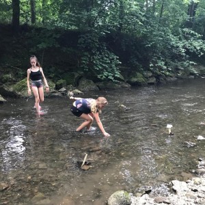 Liščí jaro a závěrečná schůzka - Zlatá horečka