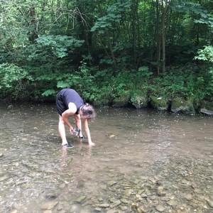Liščí jaro a závěrečná schůzka - Zlatá horečka