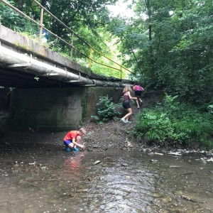 Liščí jaro a závěrečná schůzka - Zlatá horečka