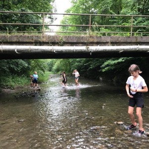 Liščí jaro a závěrečná schůzka - Zlatá horečka