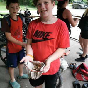 Liščí jaro a závěrečná schůzka - Zlatá horečka