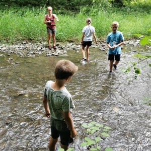 Liščí jaro a závěrečná schůzka - Zlatá horečka