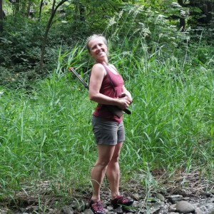 Liščí jaro a závěrečná schůzka - Zlatá horečka