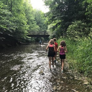 Liščí jaro a závěrečná schůzka - Zlatá horečka