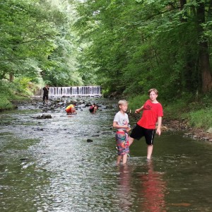 Liščí jaro a závěrečná schůzka - Zlatá horečka