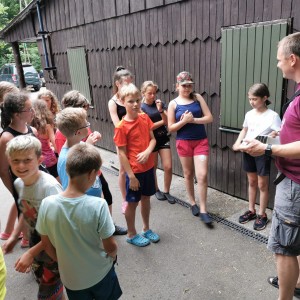 Liščí jaro a závěrečná schůzka - Zlatá horečka