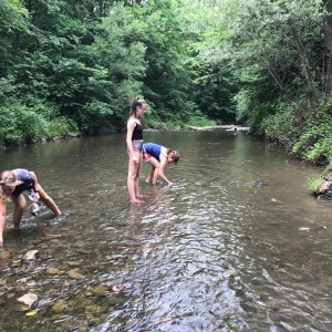 Liščí jaro a závěrečná schůzka - Zlatá horečka