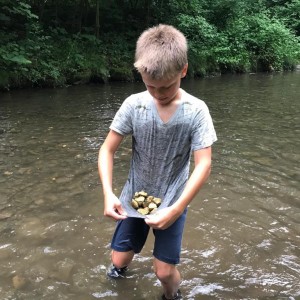 Liščí jaro a závěrečná schůzka - Zlatá horečka