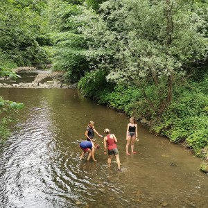 Liščí jaro a závěrečná schůzka - Zlatá horečka