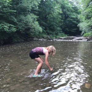 Liščí jaro a závěrečná schůzka - Zlatá horečka