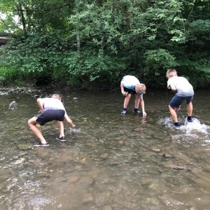 Liščí jaro a závěrečná schůzka - Zlatá horečka