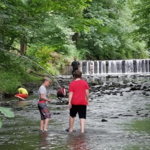 Liščí jaro a závěrečná schůzka - Zlatá horečka