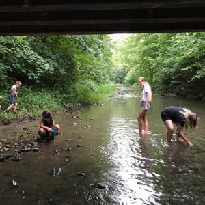 Liščí jaro a závěrečná schůzka - Zlatá horečka