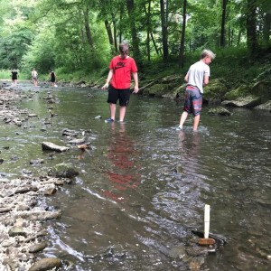 Liščí jaro a závěrečná schůzka - Zlatá horečka