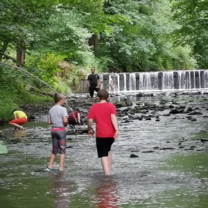 Liščí jaro a závěrečná schůzka - Zlatá horečka