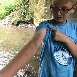 Liščí jaro a závěrečná schůzka - Zlatá horečka