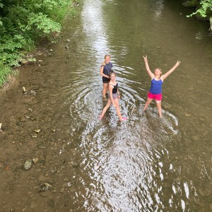 Liščí jaro a závěrečná schůzka - Zlatá horečka