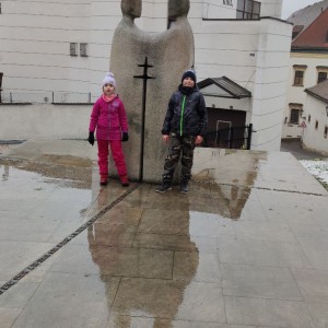 Liška II - průběžný stav