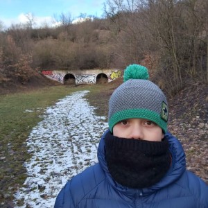 Liška II - průběžný stav