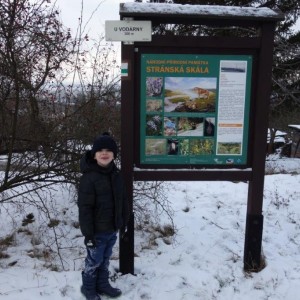 Liška II - průběžný stav