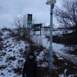 Liška II - průběžný stav