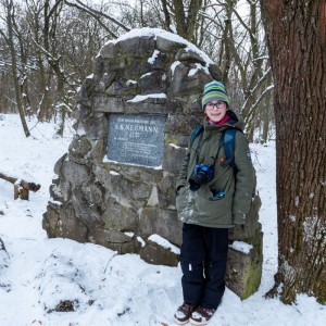 Liška II - průběžný stav