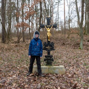 Liška II - průběžný stav