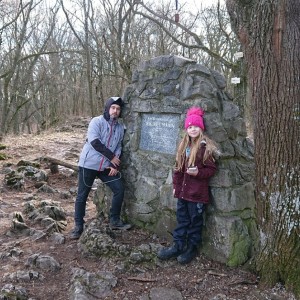 Liška II - průběžný stav