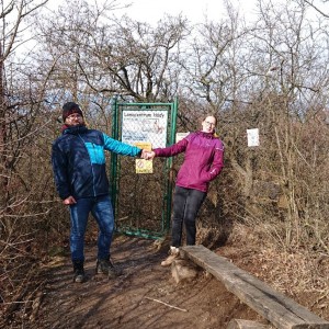 Liška II - průběžný stav