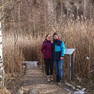 Liška II - průběžný stav